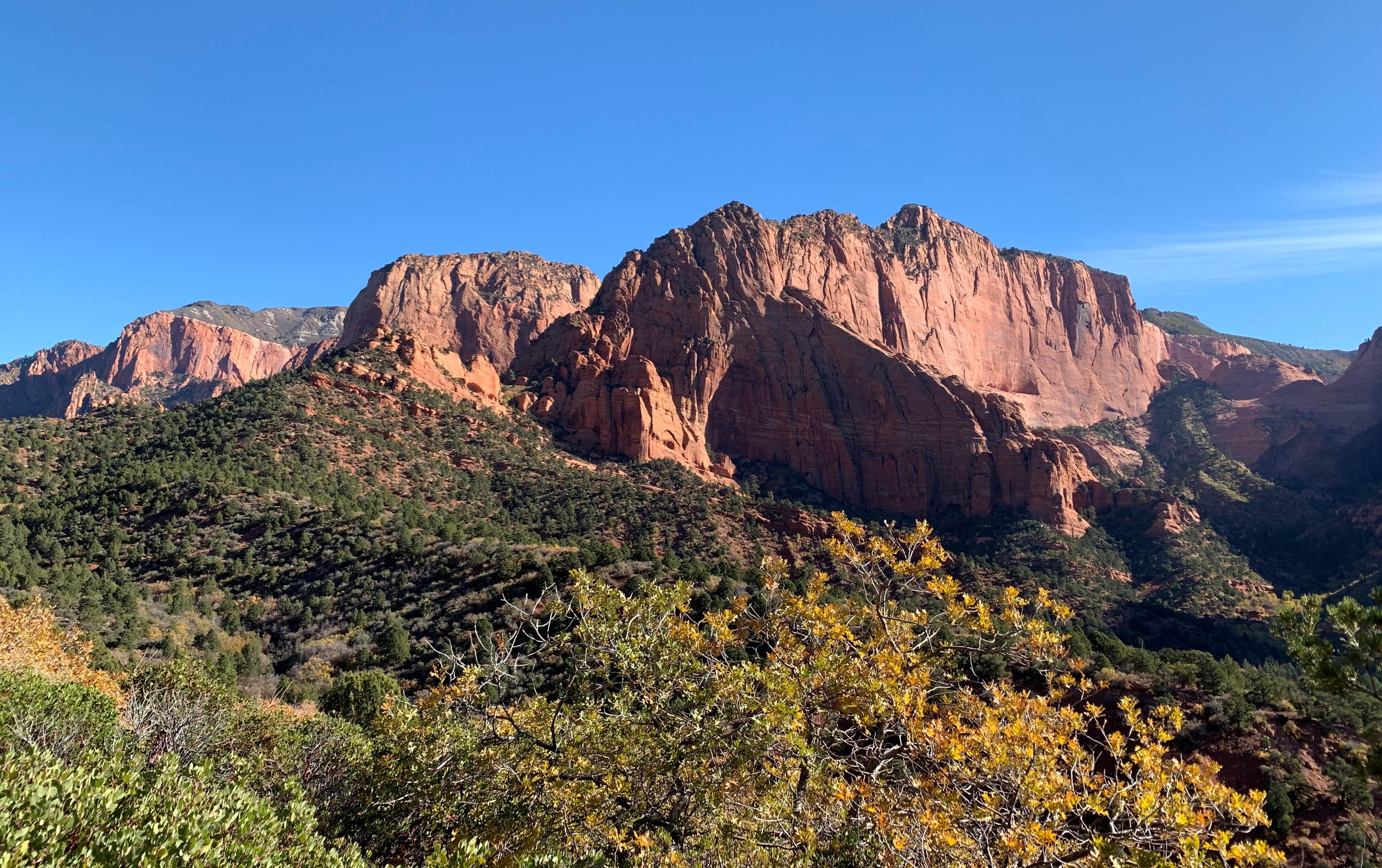 Zion NP